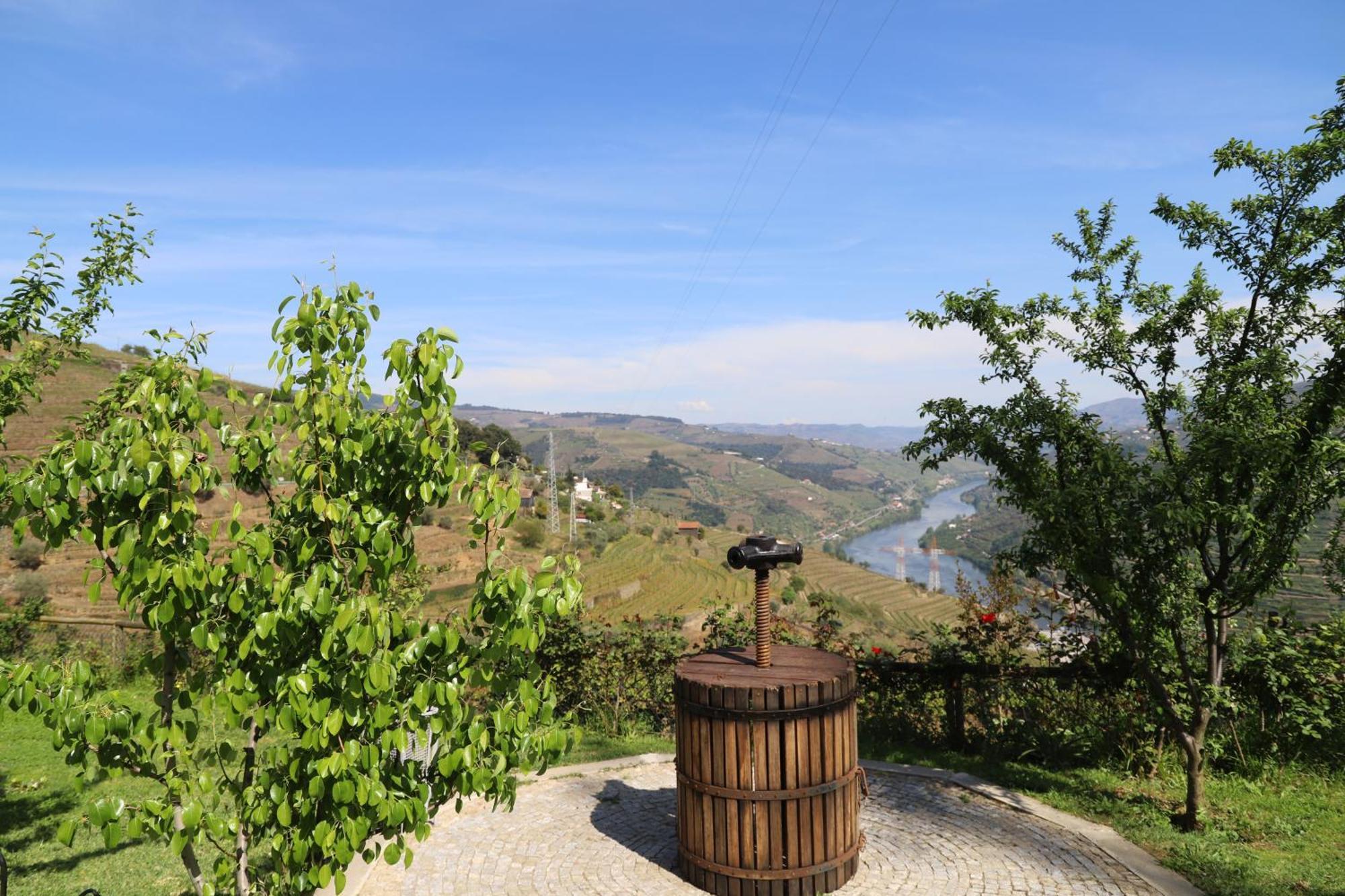 Casa Vale Do Douro Bed & Breakfast Mesao Frio Luaran gambar