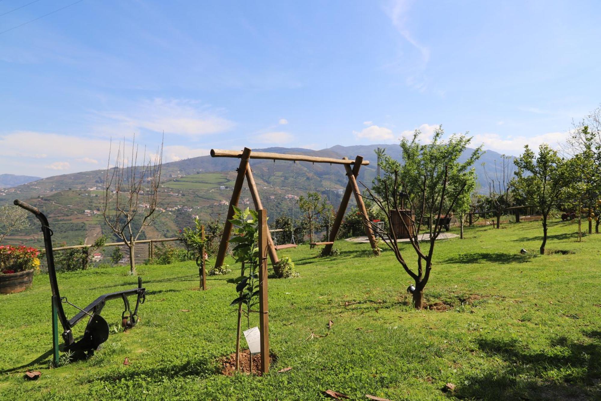 Casa Vale Do Douro Bed & Breakfast Mesao Frio Luaran gambar